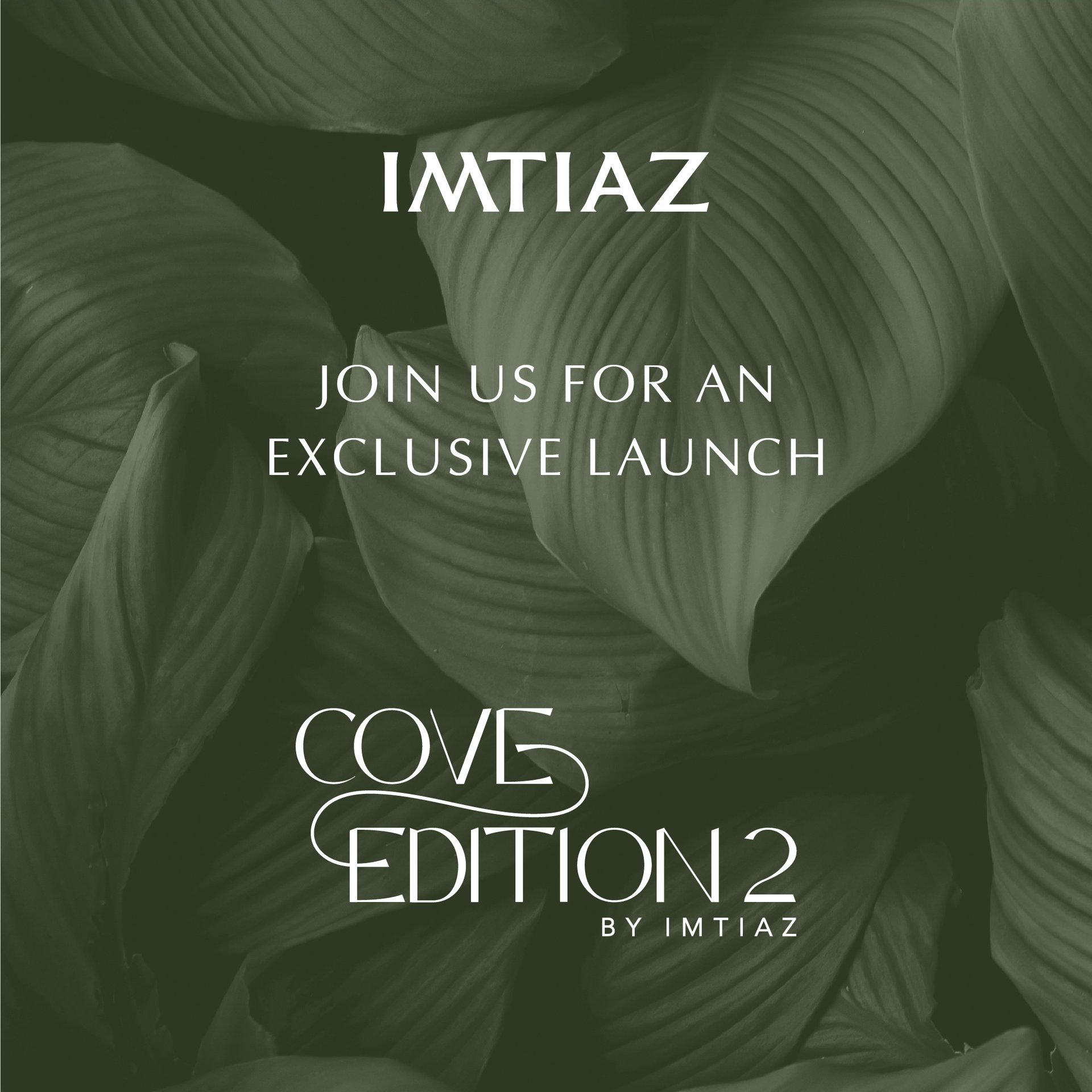 Cove Edition 2